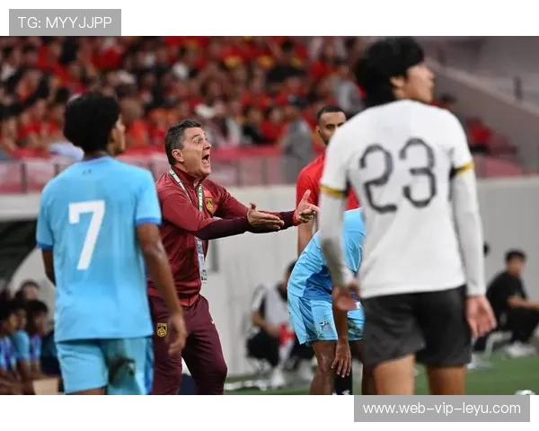 亚洲足球预选赛激战正酣，中国队迎来重大战役，亚洲足球预选赛时间表